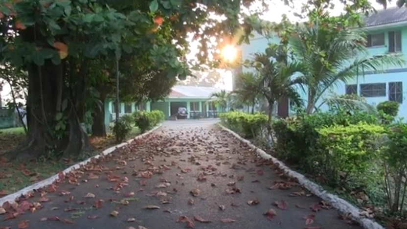 Primavera en el St. Joseph Catholic Hospital