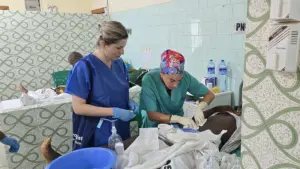Cuidados postoperatorios en planta